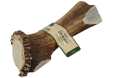 an antler bone with a label on it